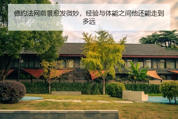 德约法网前景愈发微妙，经验与体能之间他还能走到多远