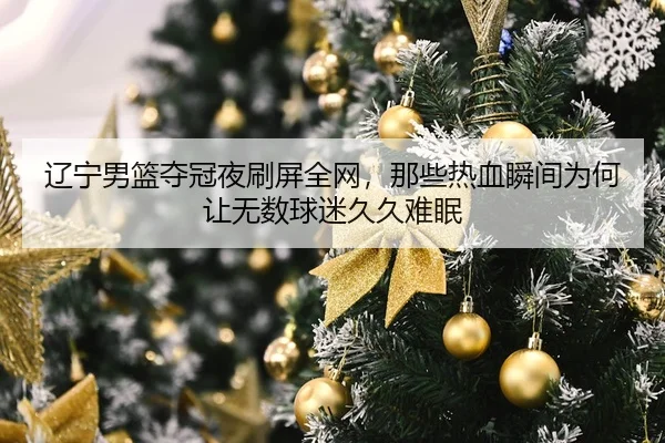 辽宁男篮夺冠夜刷屏全网，那些热血瞬间为何让无数球迷久久难眠