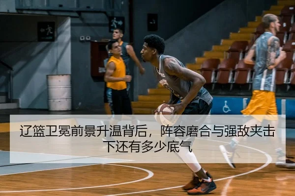 liao-lan-wei-mian-qian-jing-sheng-wen-bei-hou-zhen-rong-mo-he-yu-qiang-di-jia-ji-xia-hai-you-duo-shao-di-qi-2-401.jpg